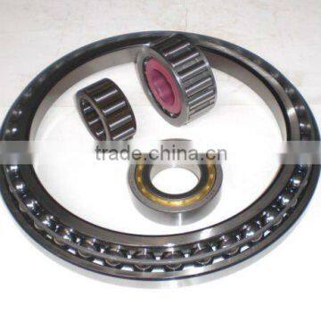 Excavator bearing