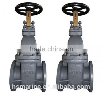 JIS Marine Cast Steel Gate Valve