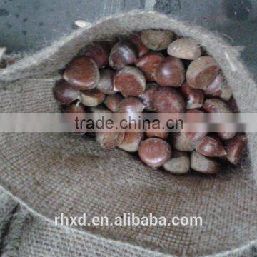 plastic box packing new crop chestnut