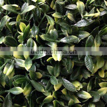Plastic Artificial Hedge Fence Wall photo-2