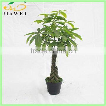 garden landscaping high imitation fortunate tree