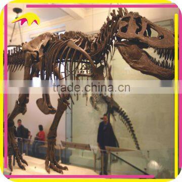 KANO6101 Museum Animated Realistic 3D Fiberglass Dinosaur Fossil