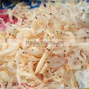 high quality dried baby shrimp for sale