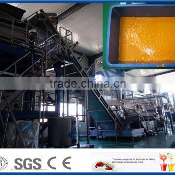 sea-buckthorn juice production line