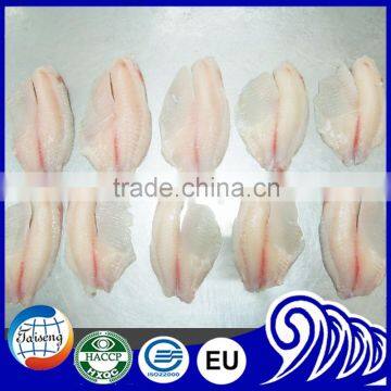 Frozen Fish Frozen Tilapia Fillet Low Price photo-2