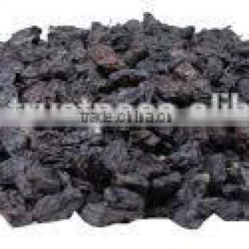 Fresh Black Raisin for Sale