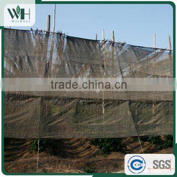 Cambodia Kosher Black Pepper for Importers 550gl 500gl photo-5