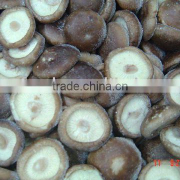 Whole IQF shiitake Mushroom China Origin