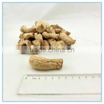 Dried Shiitake Mushroom Stipe