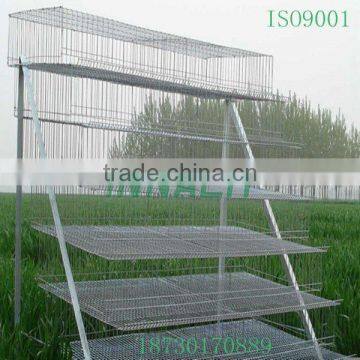 Provided with New Design Galvanized Quail Cage with Automatic Feeding and Drinking Water System(ISO9001)