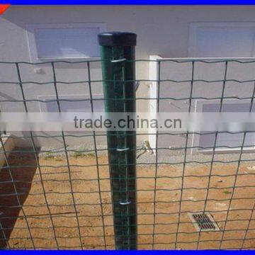 DM factory price Euro Fence at high quality