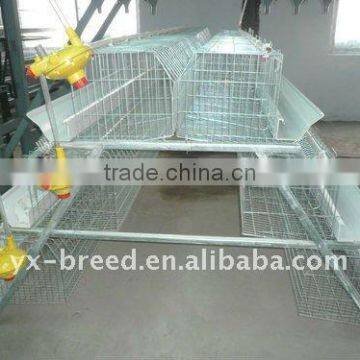 hot-sale good quality poultry layer chicken cage