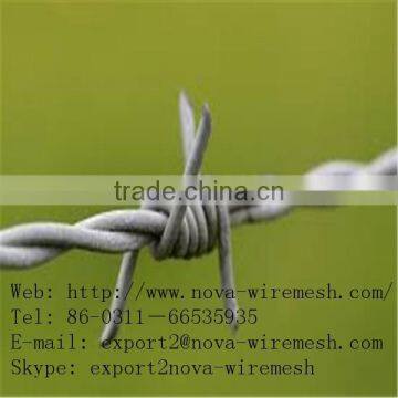 Factory price hop dip galvanized double twist iron barbed wire