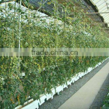Hydroponic Systems photo-4
