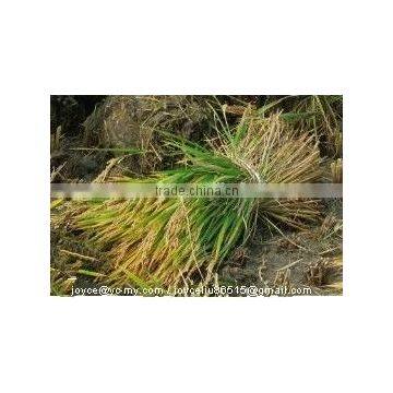 MINGYUE 4GK Grain Reaper Binder photo-3