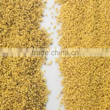 Opto Electronic Grain Color Sorter Machine Grain Processing Machine photo-2