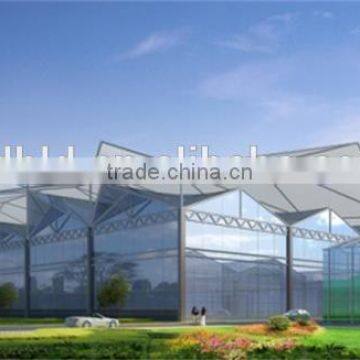 High Quality Glass Covered Tomato Seed for Greenhouse photo-2
