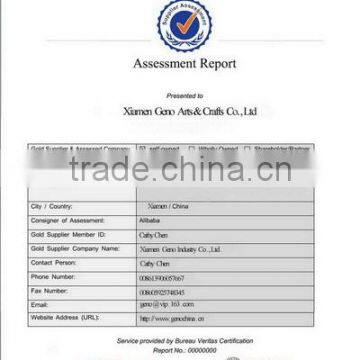 Bureau Veritas Assessment Report