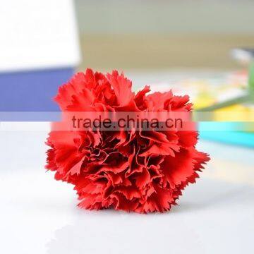 Fresh valentine red carnations with low price fresh cut Carnation flower high quality