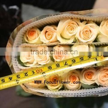 Natural fresh cut rose flowers fresh cut flowers wholesale price fresh flowers fresh black roses in delhi with 20stems/bundle