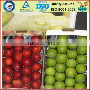 Thermoformed Blister Protective Food Grade PP Plastic Apple Tray With Competitive Price photo-2