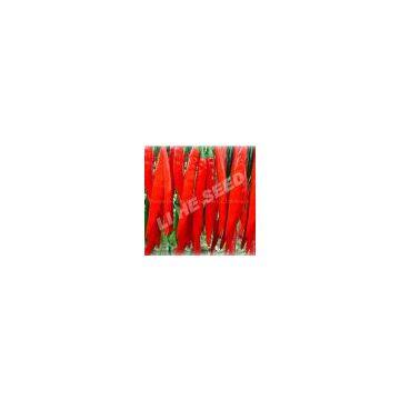 pepper seeds 5137