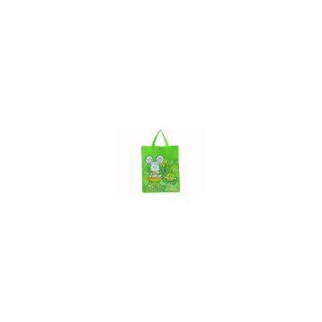 Eco- friendly bag