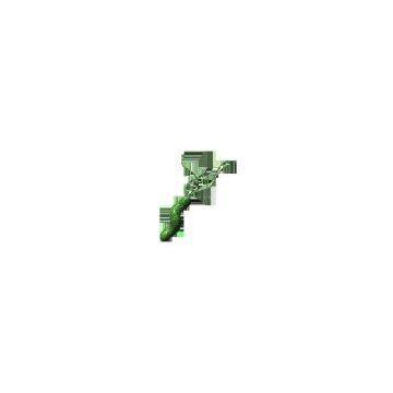 Diagnostic Equipment for Helicobacter Pylori photo-2
