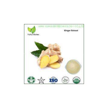 ginger extract,ginger extract gingerol,ginger extract powder,gingerol