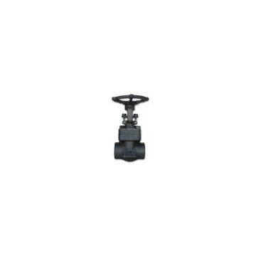 Forged steel Globe Valve