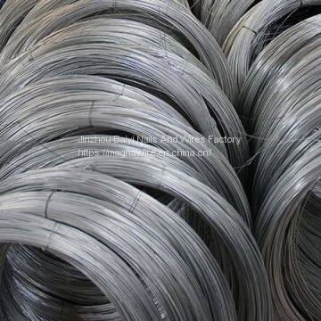 High Quality Factory Supply BWG21 Electro Galvanized Iron Wire