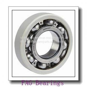 FAG Bearings