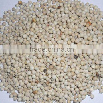 vietnam white pepper, white pepper grain, 550g/l, 600g/l