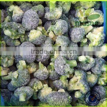 High quality Frozen Cauliflower Floret/Frozen Broccoli Florets