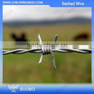 Free samples barb wire,barb wire fence, farm wire barb wire supplier china