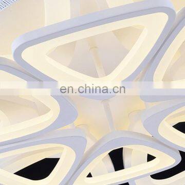Modern Led Ceiling Lights Remote Control Living Room Ceiling Lamps Creative Bedroom Restaurant Circular Lamps photo-3