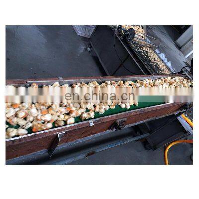 Hot Sale Frozen Scallop Meat Dried Scallop Meat photo-2