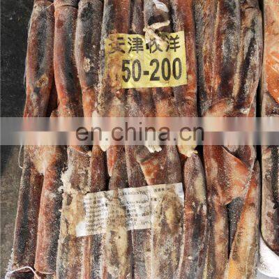 China Frozen Illex Squid Argentina Illex Squid Price 100-150 150-200 200-300 photo-2