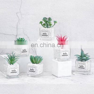 2021 Newest Artificial Succulents Tabletop Greenery Clear Square Glass Pots Pebble Rock Planter Plants Cactus For Home Decor