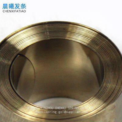 Stainless Steel Constant Force Spring Stainless Steel Spring photo-3
