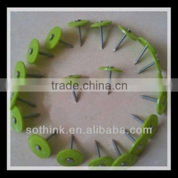 Ring Shank Plastic Nails (high quality)