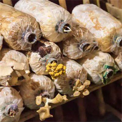 Rye Grain Spawn Bags Mushroom Grow Bags Autoclavable With Filter Patch Mushroom Filter Bags photo-5
