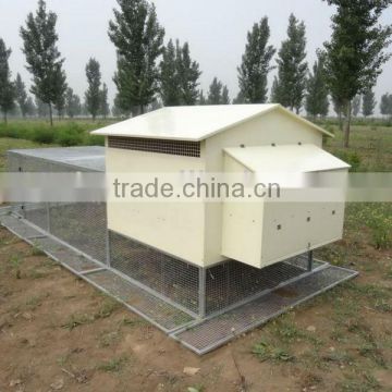 Chicken Coop