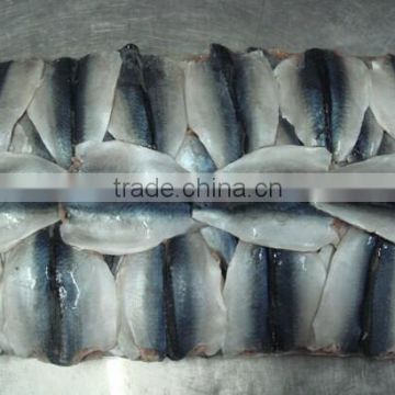 frozen block mackerel flaps