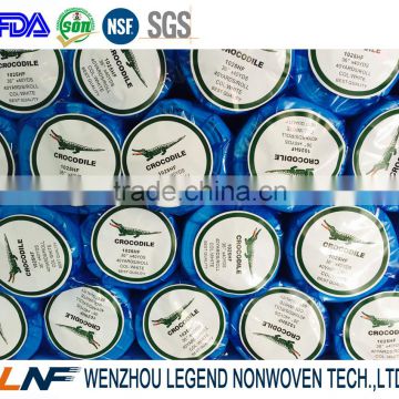 Wenzhou supplier adhesive nonwoven fabric used for garment for Algeria market