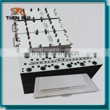 Delicate Plastic Door Sheet Extrusion mould