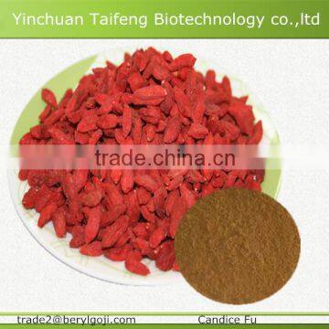 Red Goji Fruit From China