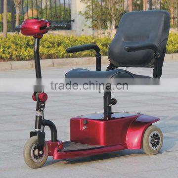 3-wheel Electric Scooter DL24250-1 With CE Certificate (China) photo-2