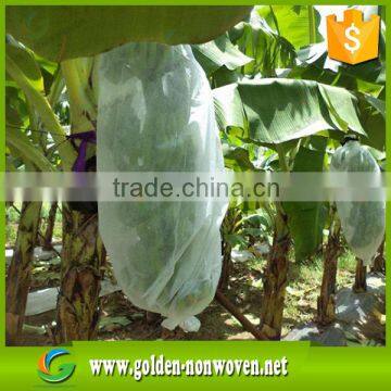 1%-4% uv Treatment 100% Polypropylene Agriculture Nonwoven Fabric ,agriculture Spunbond Nonwoven Faric for Plant,vegetable