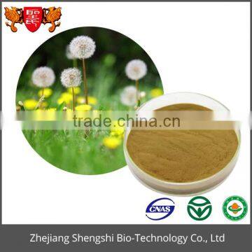 Fresh herb plant Dandelion extract powder, Taraxacum powder